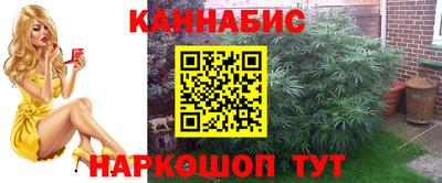 стаф Новозыбков