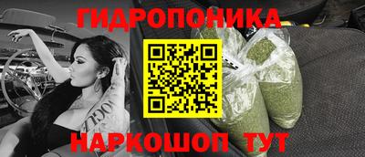 стаф Новозыбков