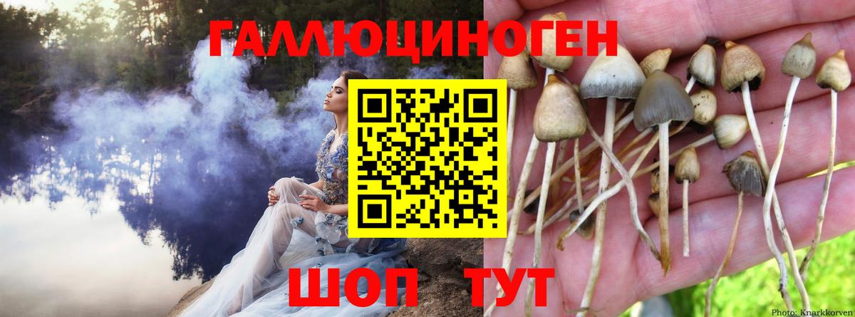 Галлюциногенные грибы ЛСД  где можно купить   Топки  Вход с VPN 